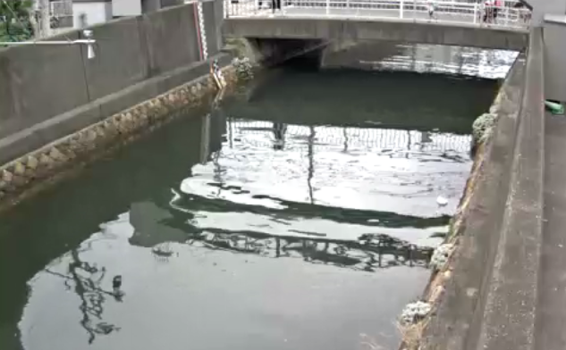 高橋川深江橋ライブカメラは、兵庫県神戸市東灘区の深江橋に設置された高橋川が見えるライブカメラです。