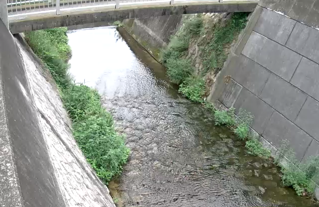 宇治川清風橋ライブカメラは、兵庫県神戸市中央区の清風橋に設置された宇治川が見えるライブカメラです。