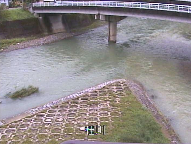 桂川弓削川合流部ライブカメラは、京都府京都市右京区の弓削川合流部に設置された桂川が見えるライブカメラです。