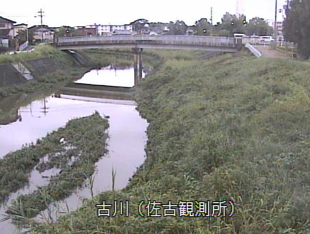 古川佐古水位観測所ライブカメラは、京都府久御山町佐古の佐古水位観測所(佐古観測所)に設置された古川が見えるライブカメラです。