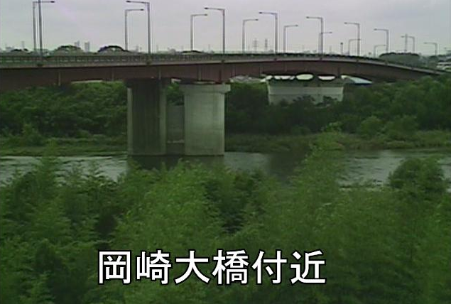 矢作川岡崎大橋ライブカメラは、愛知県岡崎市大門の岡崎大橋に設置された矢作川が見えるライブカメラです。