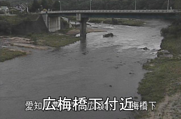 矢作川広梅橋ライブカメラは、愛知県豊田市東広瀬町の広梅橋に設置された矢作川が見えるライブカメラです。
