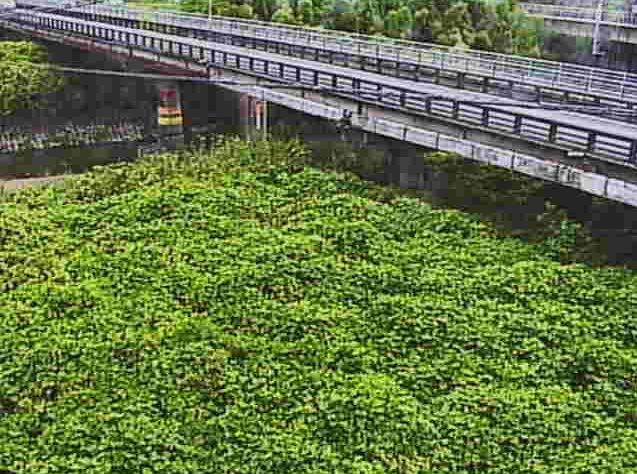 日野川桐原橋ライブカメラは、滋賀県近江八幡市安養寺町の桐原橋(桐原橋水位観測局)に設置された日野川が見えるライブカメラです。