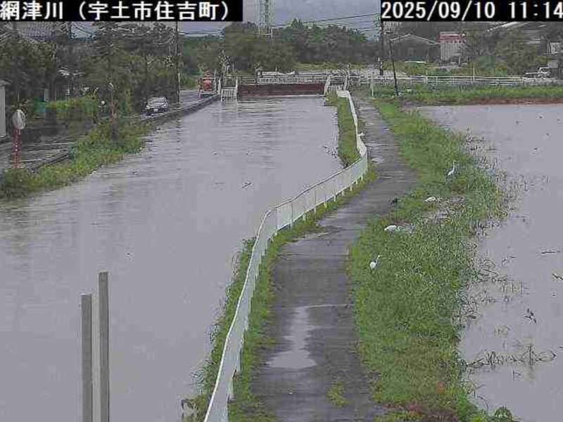 網津川住吉町ライブカメラ(熊本県宇土市住吉町) 2025年9月10日11時14分 大雨増水時 氾濫危険水位