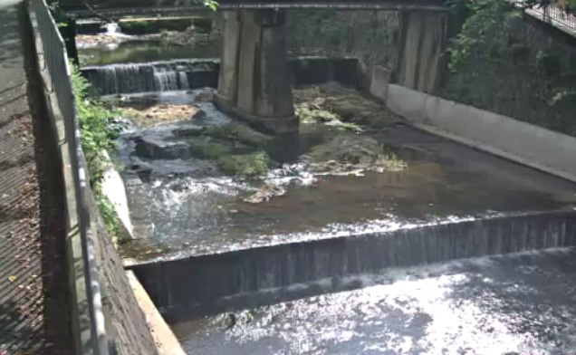 有馬川公園橋ライブカメラは、兵庫県神戸市北区の公園橋に設置された有馬川が見えるライブカメラです。