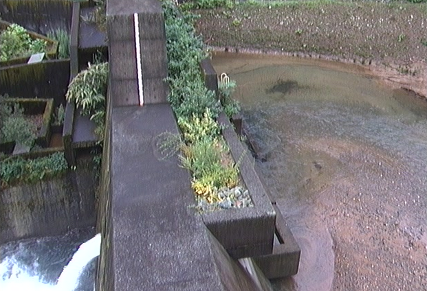 狩野川猫越第4砂防ダムライブカメラは、静岡県伊豆市湯ケ島の猫越第4砂防ダムに設置された狩野川が見えるライブカメラです。