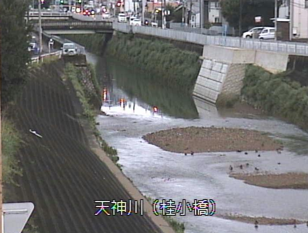 天神川桂小橋ライブカメラは、京都府京都市右京区の桂小橋に設置された天神川が見えるライブカメラです。