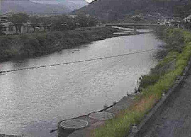水俣川水俣市中央公園ライブカメラは、熊本県水俣市南福寺の水俣市中央公園に設置された水俣川が見えるライブカメラです。