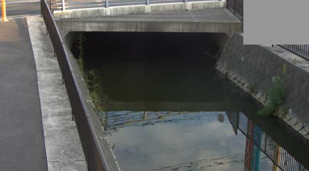 城東川佐賀県道294号薬師丸佐賀停車場線橋梁ライブカメラは、佐賀県佐賀市兵庫北の佐賀県道294号薬師丸佐賀停車場線橋梁に設置された城東川が見えるライブカメラです。