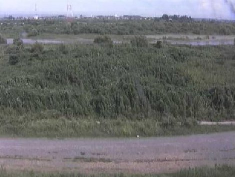 天竜川安間川合流点ライブカメラは、静岡県浜松市南区の安間川合流点に設置された天竜川が見えるライブカメラです。