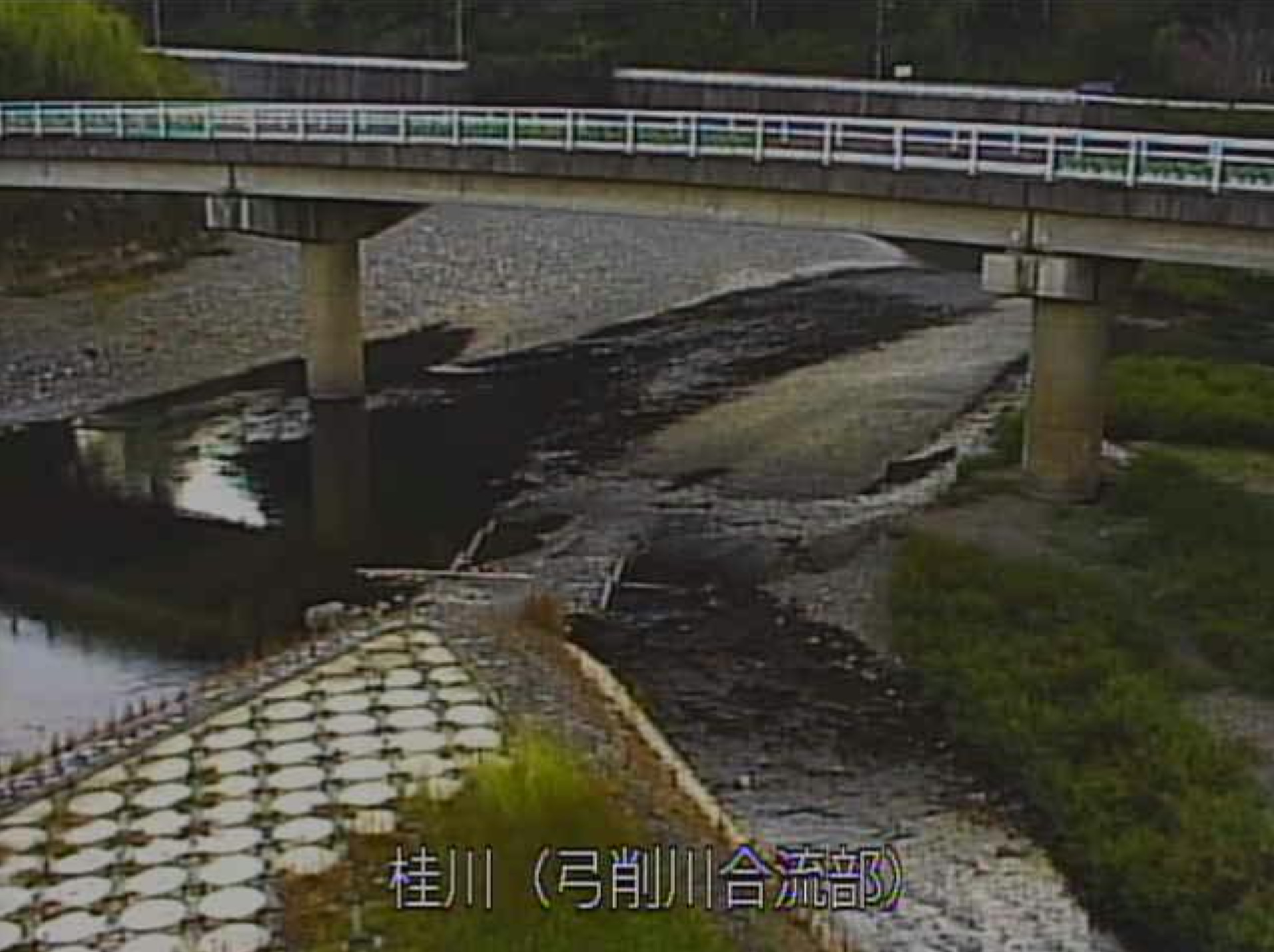 桂川弓削川合流部ライブカメラ(京都府京都市右京区京北周山町)