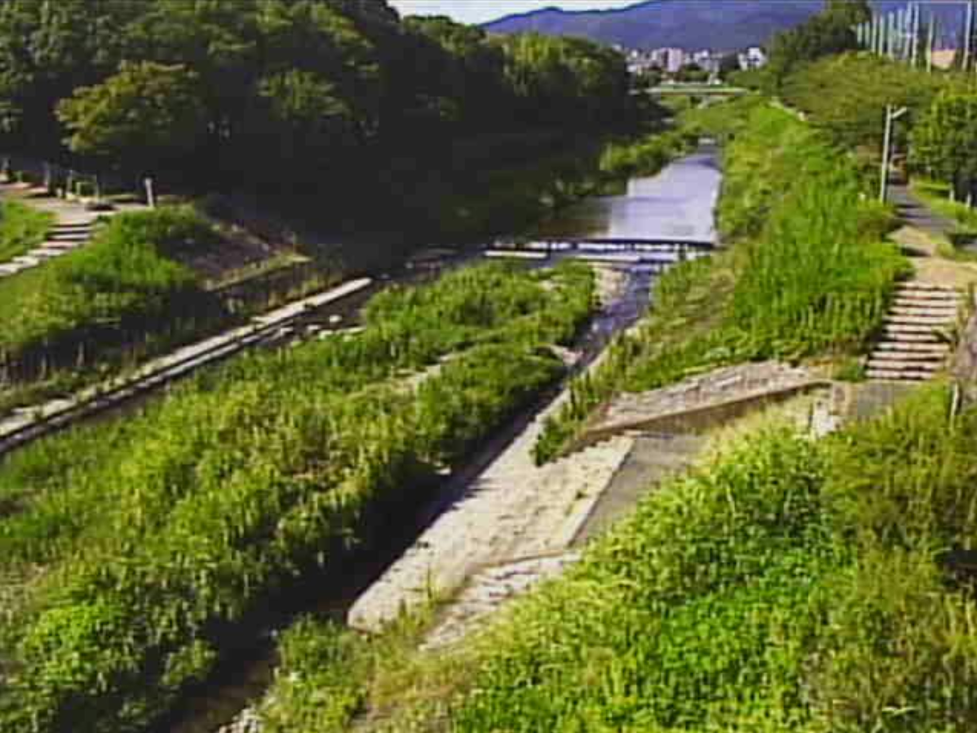 山科川旧安祥寺川合流部ライブカメラ(京都府京都市山科区勧修寺平田町)