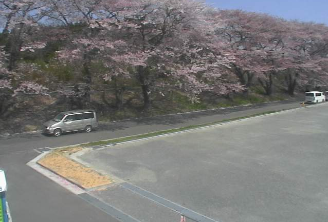請戸川リバーライン付近ライブカメラは、福島県浪江町権現堂の請戸川リバーライン付近に設置された商工会裏桜並木が見えるライブカメラです。