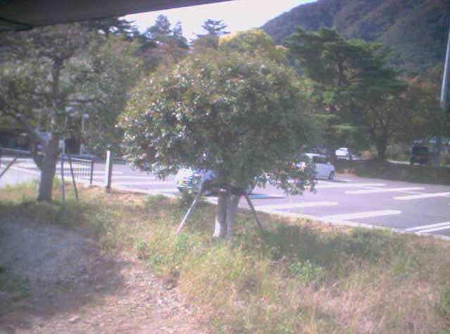ヤホール前ライブカメラは、新潟県弥彦村弥彦のヤホールに設置された駐車場が見えるライブカメラです。