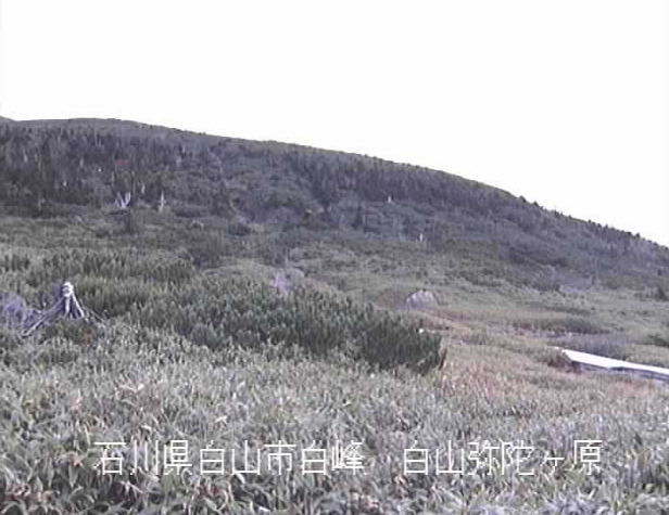 手取川弥陀ヶ原ライブカメラは、石川県白山市白峰の弥陀ヶ原に設置された手取川が見えるライブカメラです。