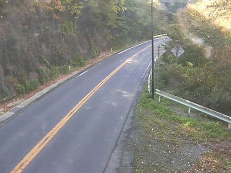 国道115号落合第2ライブカメラは、福島県相馬市山上の落合に設置された国道115号(中村街道)が見えるライブカメラです。