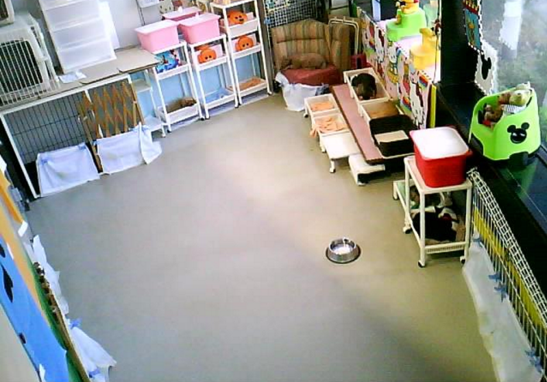わんわんコインランドリー柏店第2ライブカメラは、千葉県柏市塚崎のわんわんコインランドリー柏店(わんわん柏)に設置された店内が見えるライブカメラです。