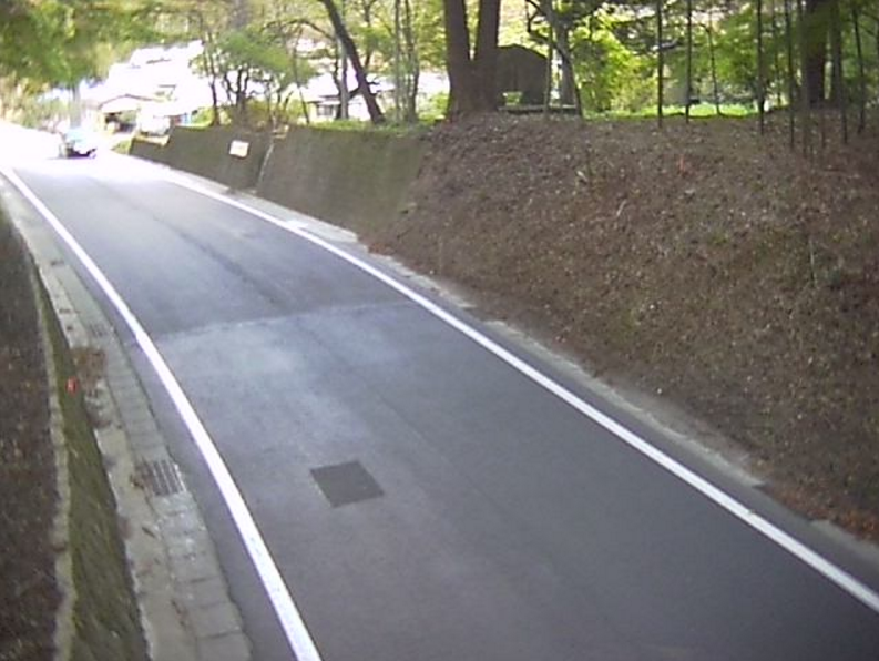 国道294号白坂第1ライブカメラは、福島県白河市白坂の白坂(境の明神付近)に設置された国道294号(旧陸羽街道)が見えるライブカメラです。