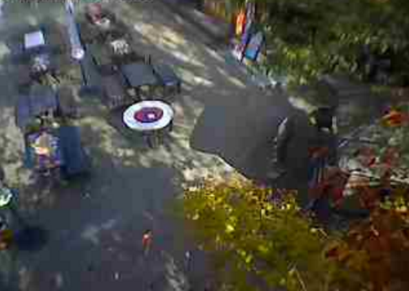 ゲゲゲの妖怪楽園ライブカメラ(鳥取県境港市栄町)