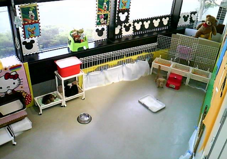 わんわんコインランドリー柏店第1ライブカメラは、千葉県柏市塚崎のわんわんコインランドリー柏店(わんわん柏)に設置された店内が見えるライブカメラです。