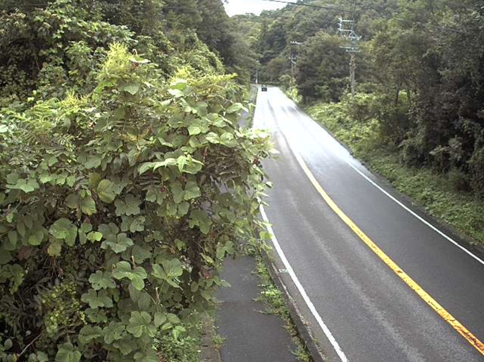国道256号山県市椎倉美山方面ライブカメラ(岐阜県山県市椎倉)