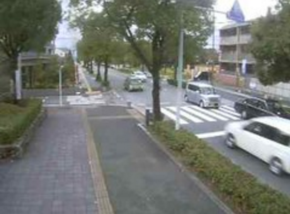 太宰府市役所周辺ライブカメラ(福岡県太宰府市観世音寺)