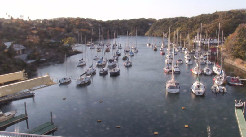 油壷ヨットハーバーライブカメラ(神奈川県三浦市三崎町)