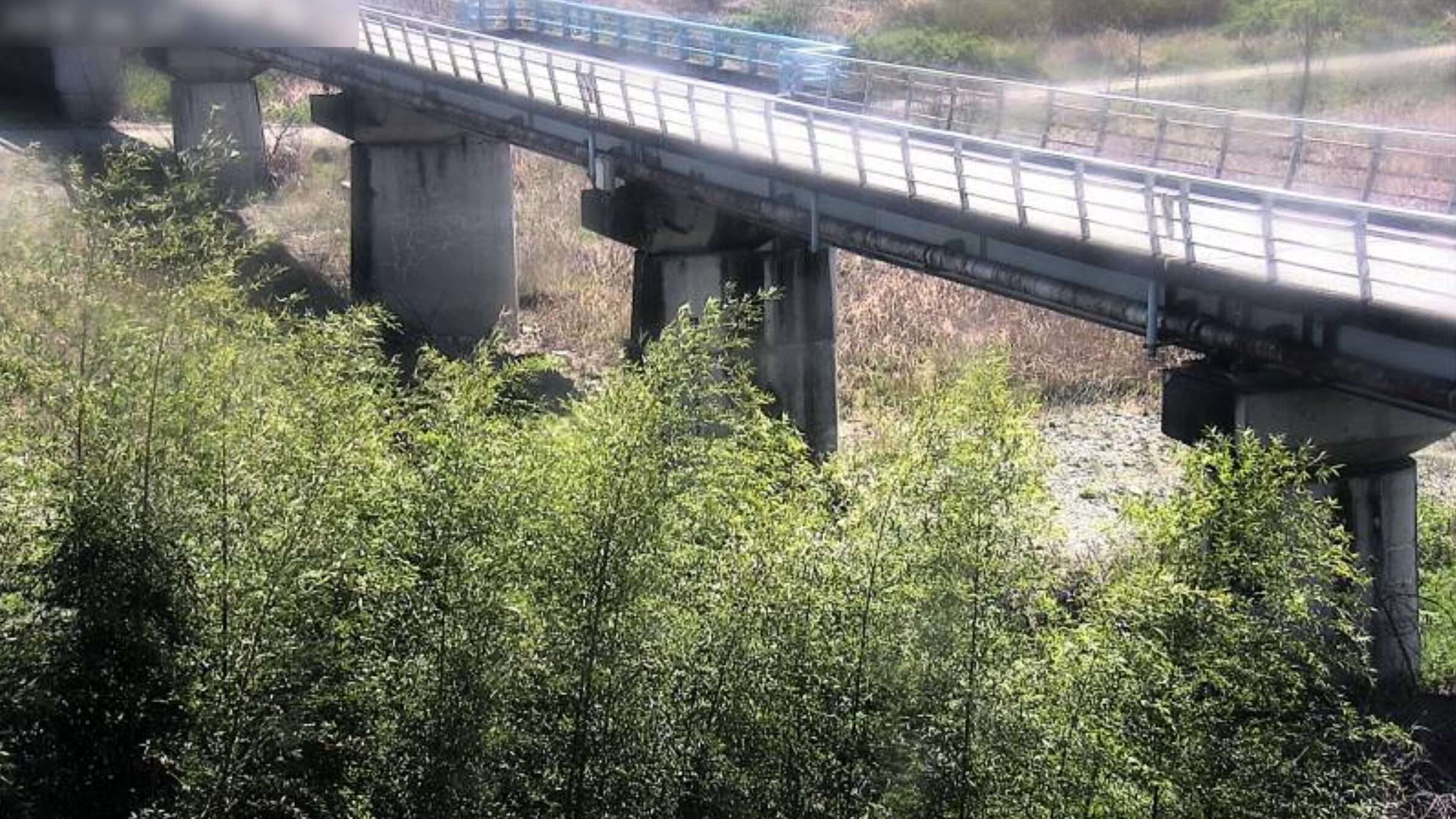 川田川中央橋ライブカメラ(徳島県吉野川市山川町)