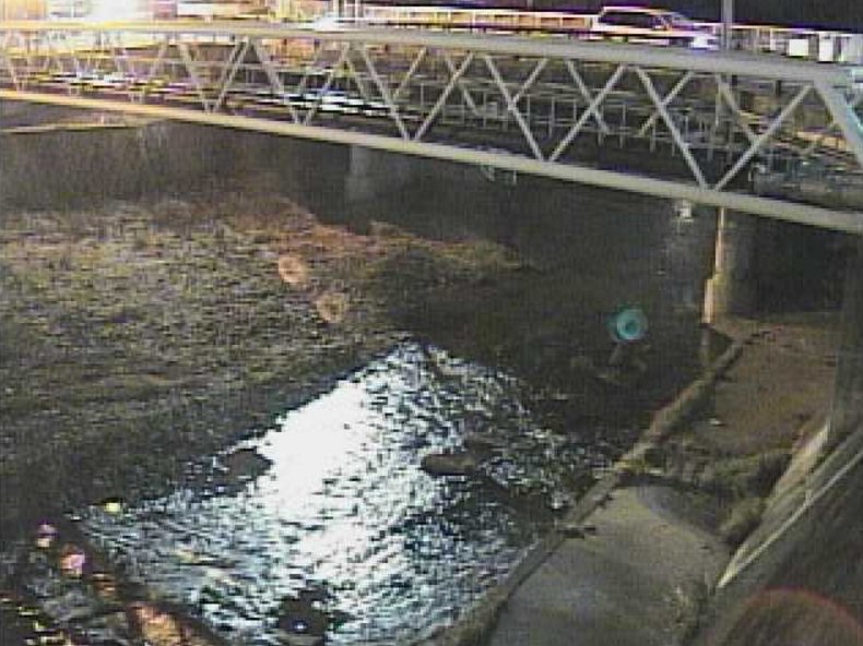 槇尾川川中橋ライブカメラ(大阪府和泉市三林町)