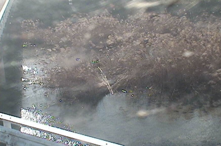 ほたる川山瀬小学校東側ライブカメラ(徳島県吉野川市山川町)