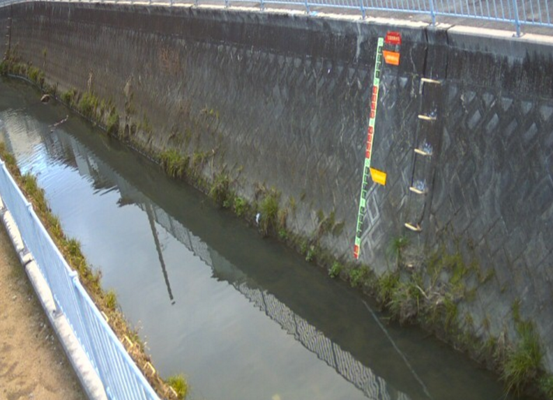 平野川太子橋ライブカメラ(大阪府八尾市南太子堂)