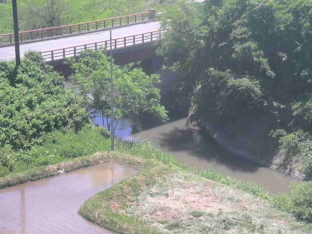 斑尾川下流斑尾橋ライブカメラ(長野県中野市豊津)