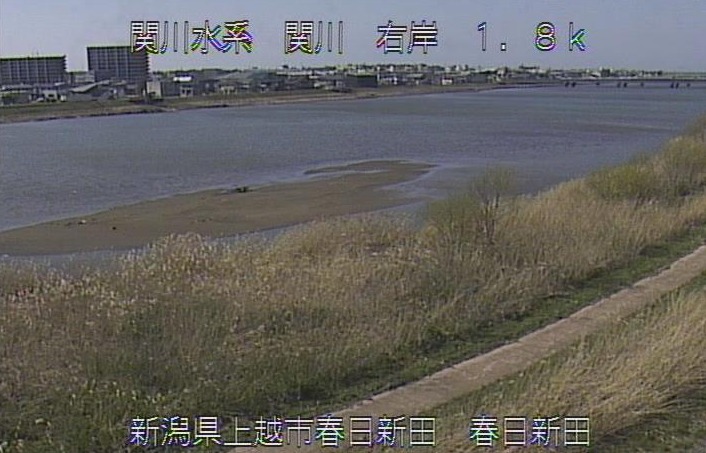 関川関川大橋下流ライブカメラ(新潟県上越市春日新田)