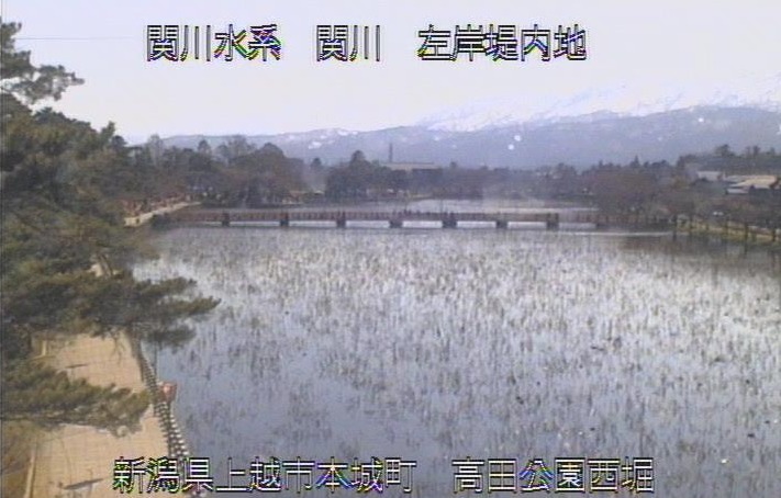 関川高田公園西堀ライブカメラ(新潟県上越市本城町)
