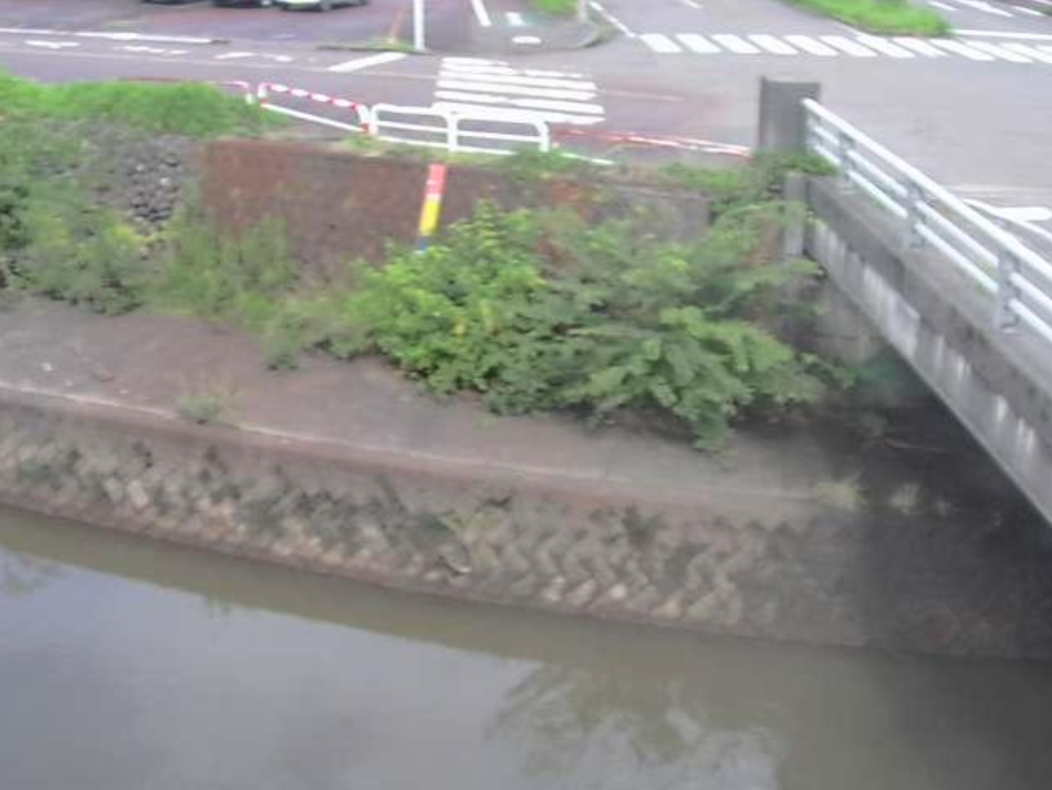 柿川呉服町ライブカメラ(新潟県長岡市呉服町)