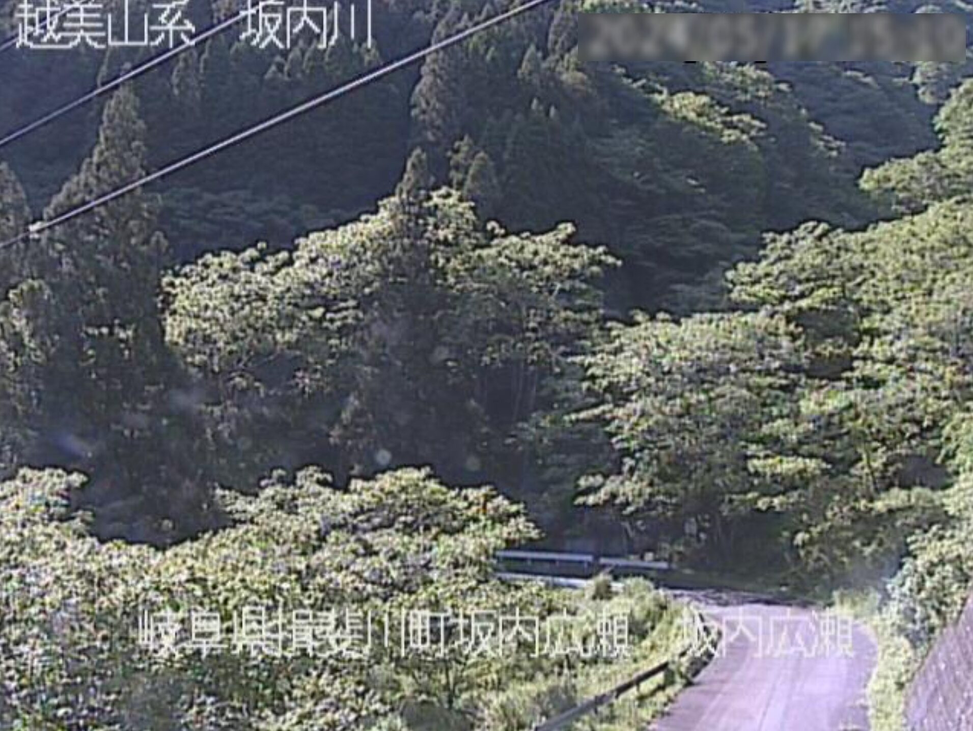 坂内川坂内広瀬ライブカメラ(岐阜県揖斐川町坂内)