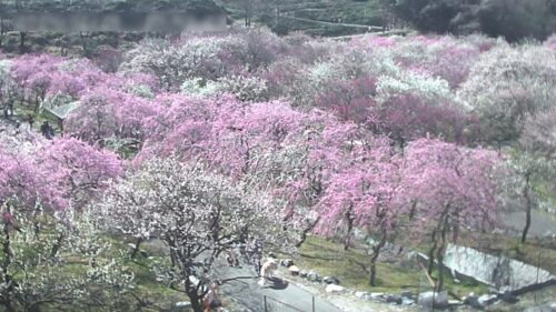 和良川(木曽川水系)ライブカメラ一覧 ライブカメラDB