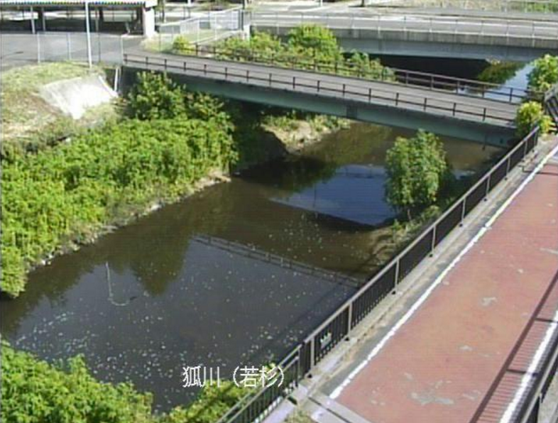 狐川若杉ライブカメラ(福井県福井市若杉)