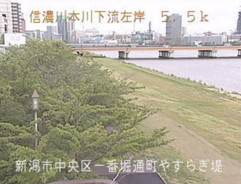 信濃川やすらぎ堤緑地ライブカメラ(新潟県新潟市中央区)