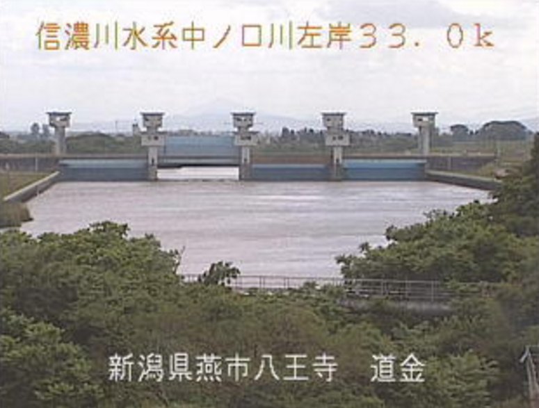 中ノ口川道金ライブカメラ(新潟県燕市八王寺)