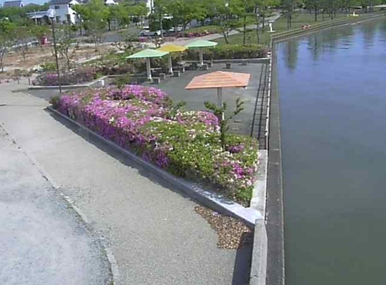 東郷池上浅津ライブカメラ(鳥取県湯梨浜町上浅津)