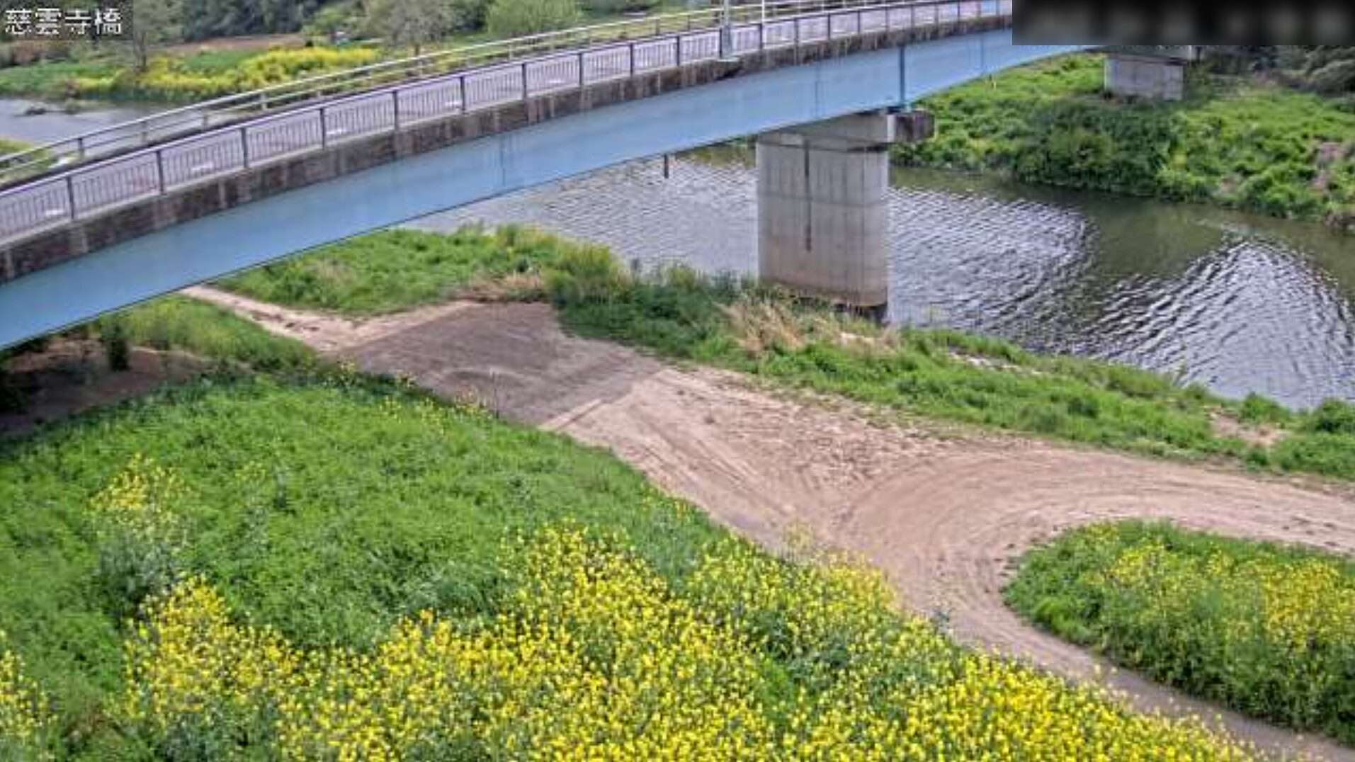 市野川慈雲寺橋観測所ライブカメラ(埼玉県吉見町江綱)