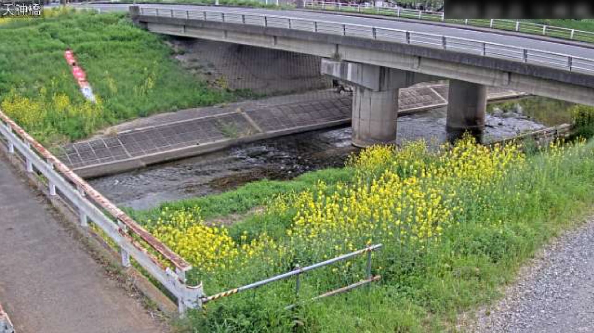 市野川天神橋観測所ライブカメラ(埼玉県東松山市松山)