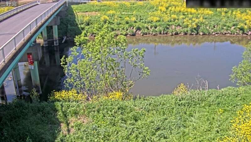 元荒川三野宮観測所ライブカメラ(埼玉県越谷市三野宮)