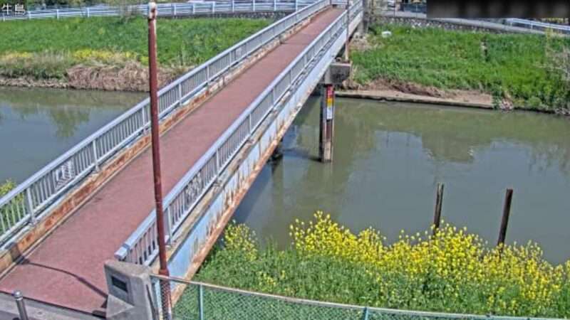 中川牛島観測所ライブカメラ(埼玉県春日部市藤塚)