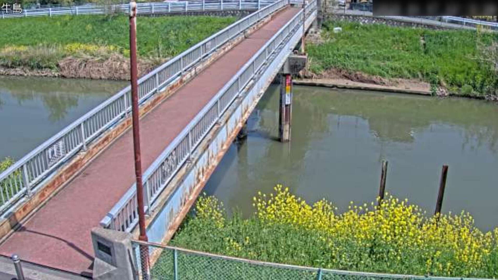 中川牛島観測所ライブカメラ(埼玉県春日部市藤塚)