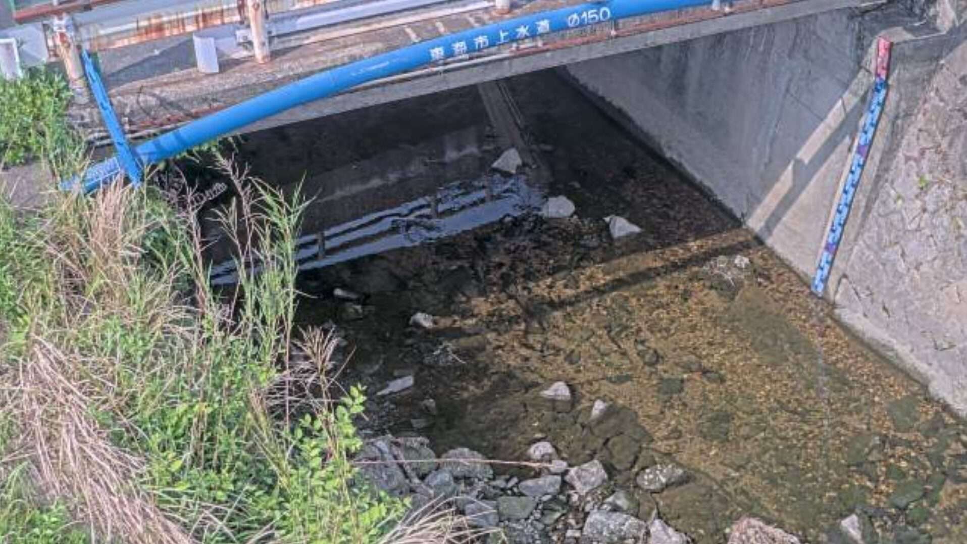 大田川順見橋ライブカメラ(愛知県東海市加木屋町)
