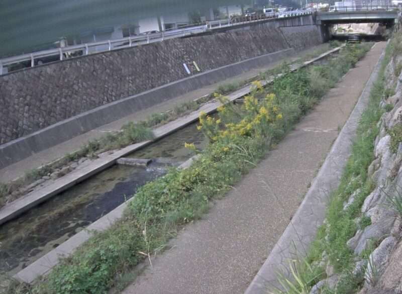 都賀川西郷橋ライブカメラ(兵庫県神戸市灘区)