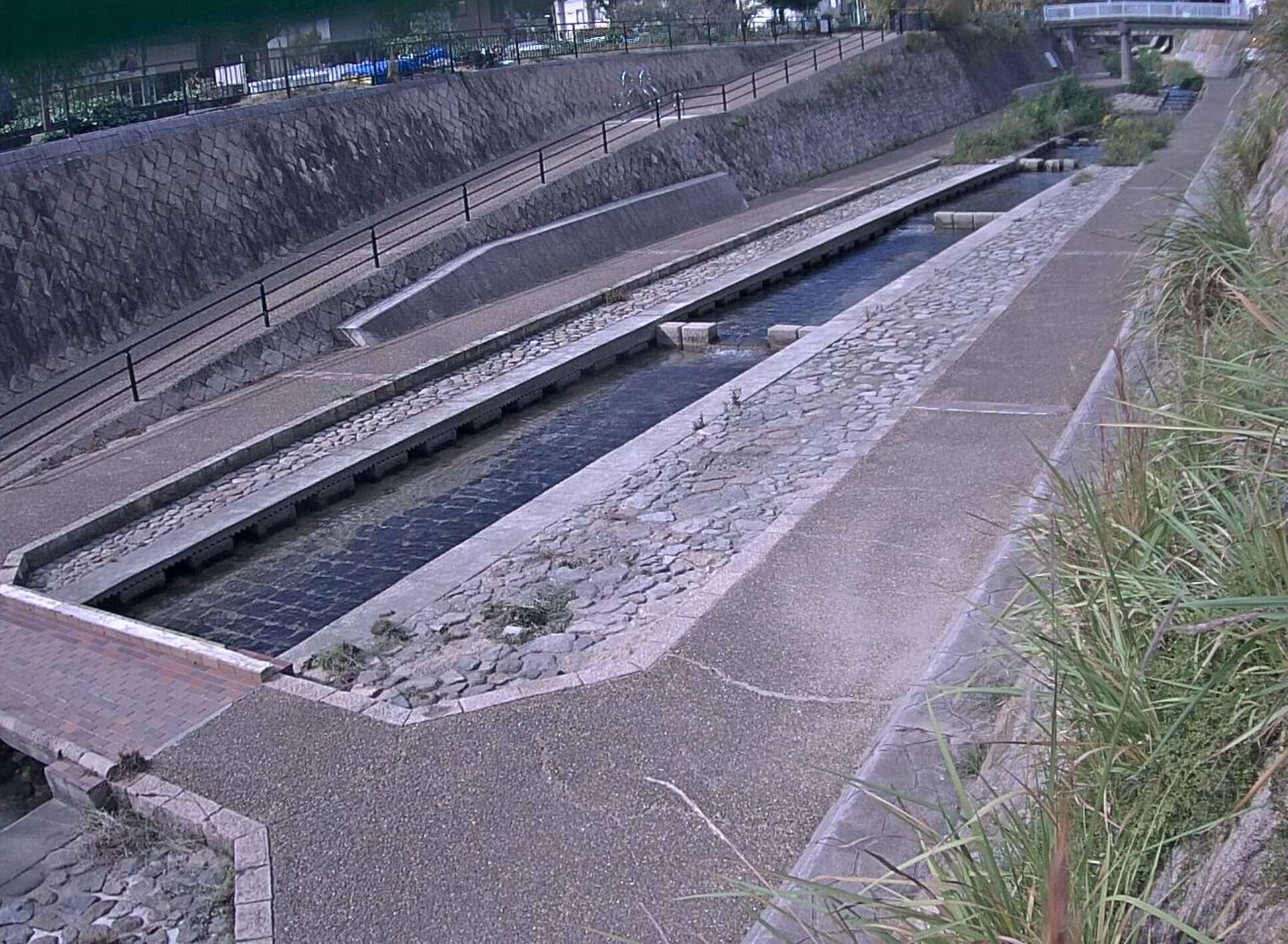 都賀川国道43号付近ライブカメラ(兵庫県神戸市灘区)