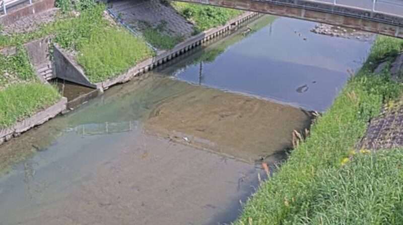 渡内川木庭中橋ライブカメラ(愛知県東海市富木島町)